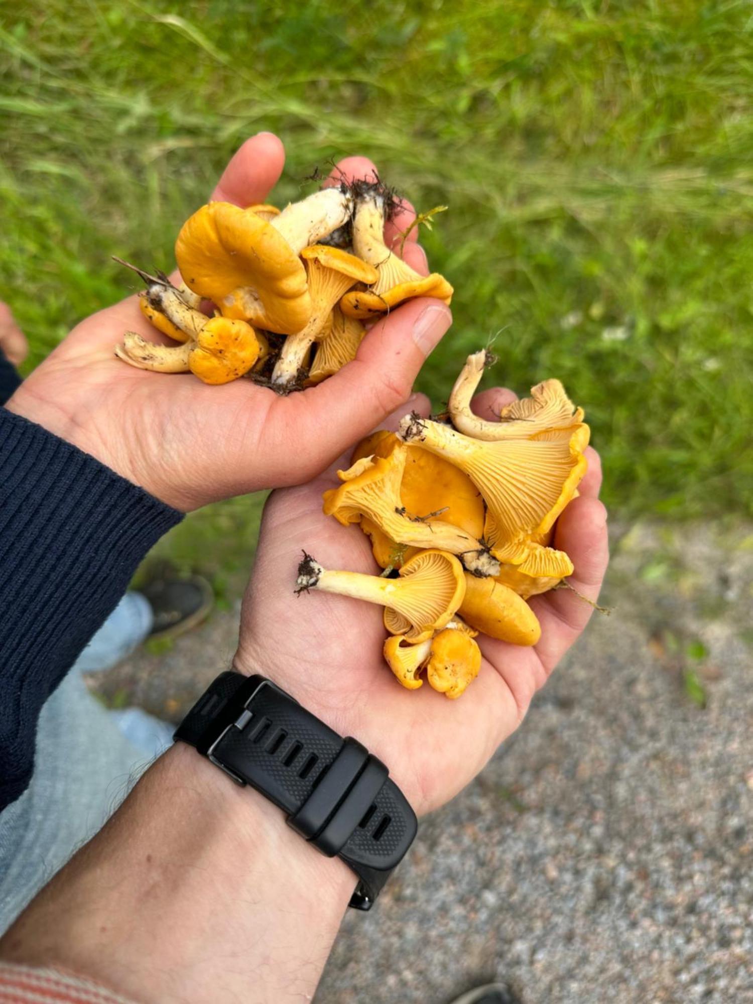 Hagbards By Gardspensionat Sloinge Buitenkant foto