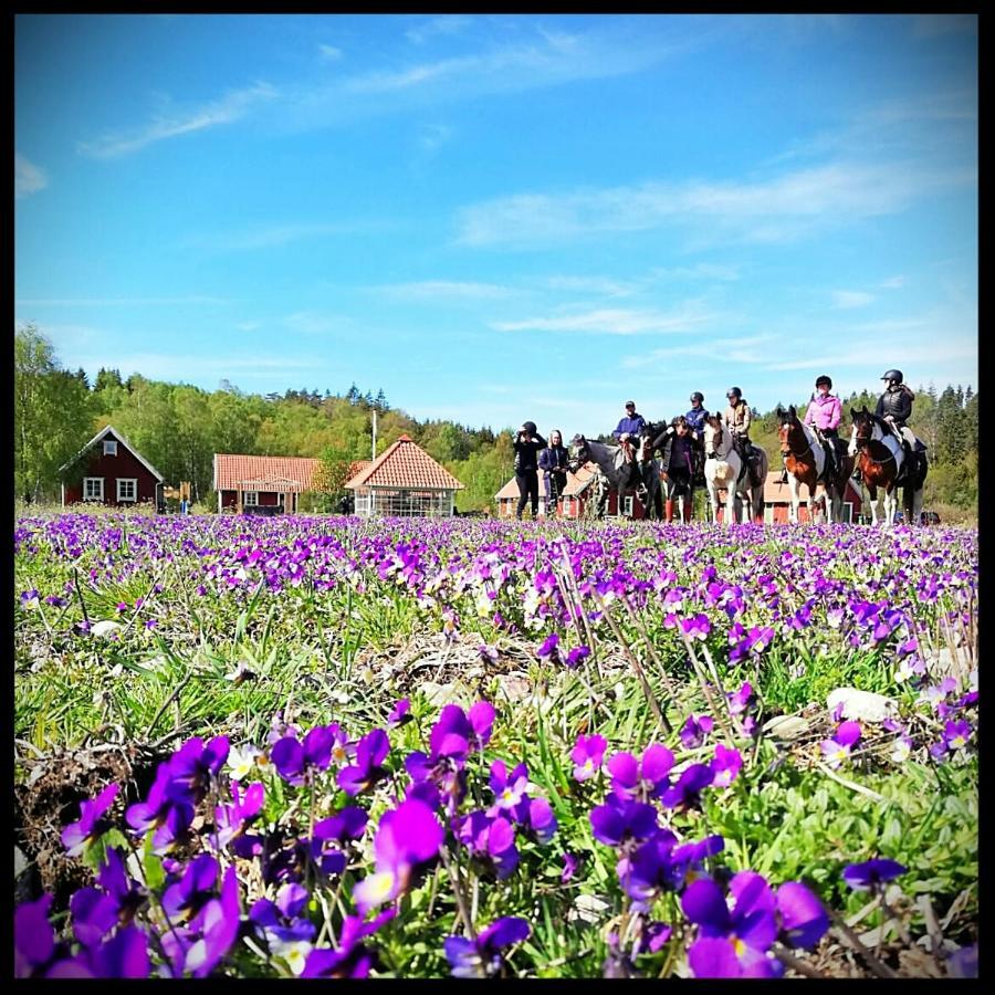 Hagbards By Gardspensionat Sloinge Buitenkant foto